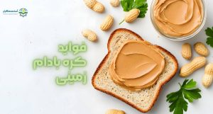 فواید کره بادام زمینی | آسا صنعتگران